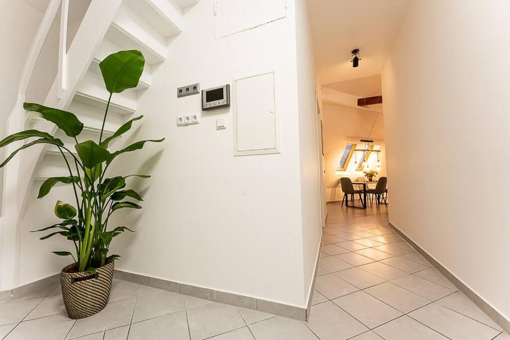 Ferienwohnung Loft Mit Billard-Tisch Und Ps4 Wuppertal Exterior foto